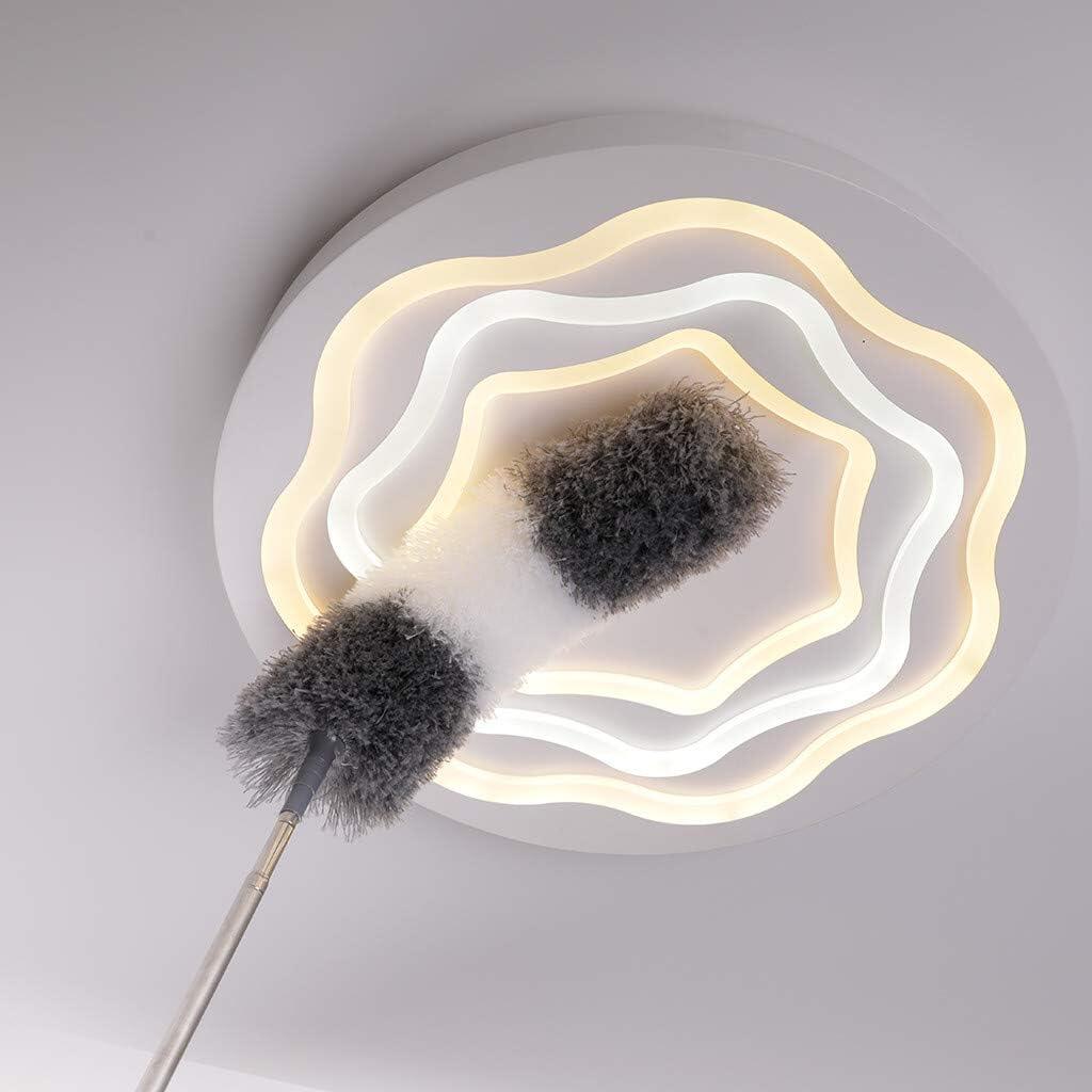 Plumero extensible de máxima limpieza HOMMY™